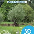 Das Bild zeigt eine idyllische Auenlandschaft des Museums Insel Hombroich. Im Vordergrund stehen blühende Lupinen und Wiesenblumen. Im mittleren Bereich dominiert eine Weide, die an einem kleinen Gewässer steht. Der Hintergrund besteht aus einem üppigen, grünen Wald.  Im Bild ist ein Logo zu sehen, das auf das 50-jährige Jubiläum des Rhein-Kreises Neuss hinweist. © Museum Insel Hombroich / Jennifer Eckert