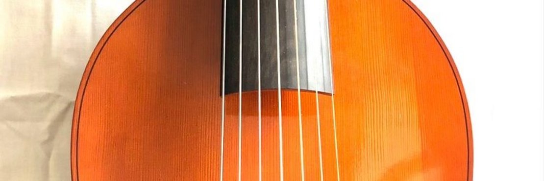 Viola da Gamba