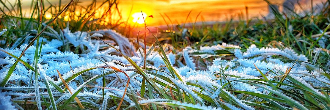 Foto von frostiger Wiese