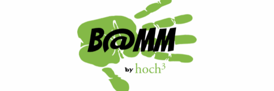 grüner Handabdruck mit schwarzem Schriftzug "B@mm by hoch3"
