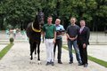 Vier Personen mit einem Pferd