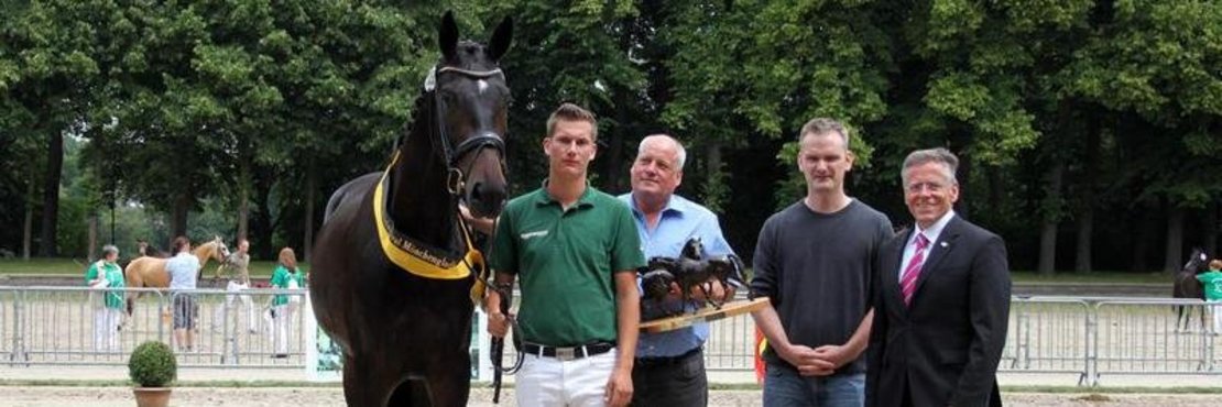 Vier Personen mit einem Pferd