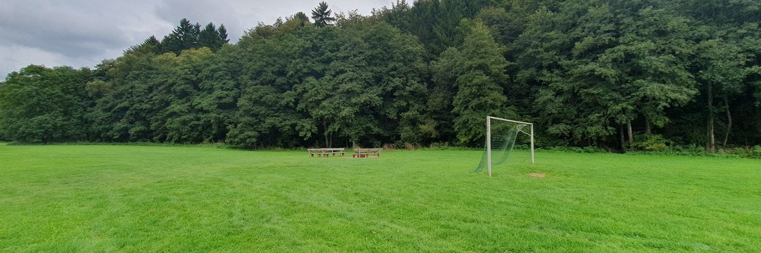 Sicht auf die Wiese des Platzes, Fußballtor und Feuerstelle