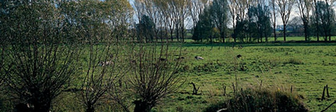 Ilvericher Schlinge bei Meerbusch