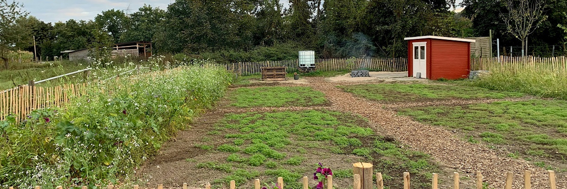 Blick in den Gardening4Ju Garten mit Beeten und Gartenhaus