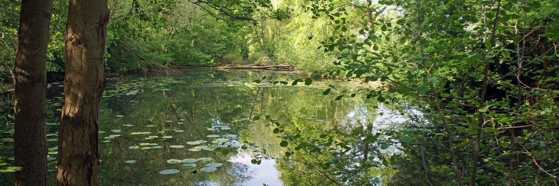 Gewässertour durch Korschenbroich