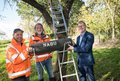 Die drei Männer halten künstliche Nisthöhle; stehend vor Baum