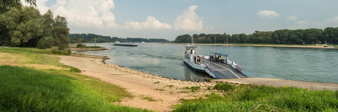 Rhein-Radweg