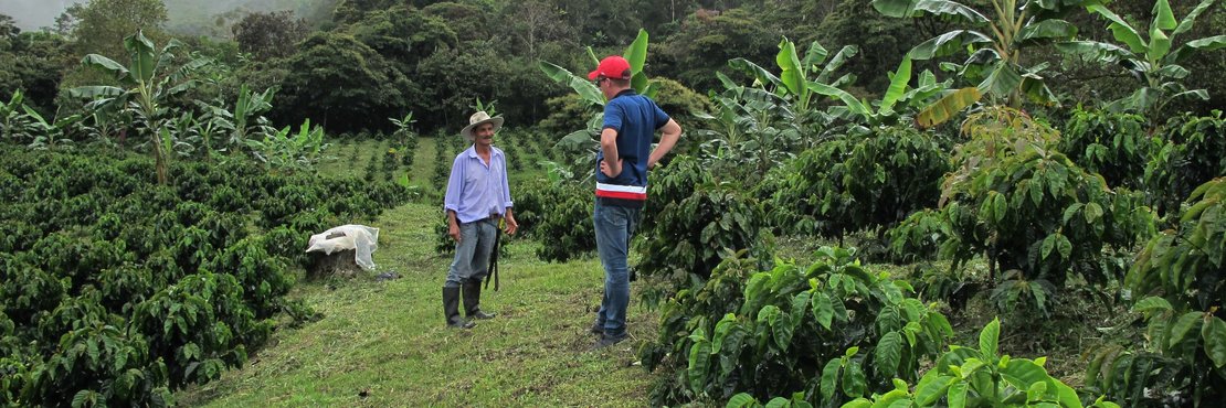 Bürgereister Lopez Vela unterhält sich mit einem Kaffeebauern auf einer Kaffeeplantage in Campohermoso 