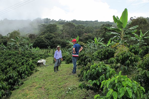 Bürgereister Lopez Vela unterhält sich mit einem Kaffeebauern auf einer Kaffeeplantage in Campohermoso 