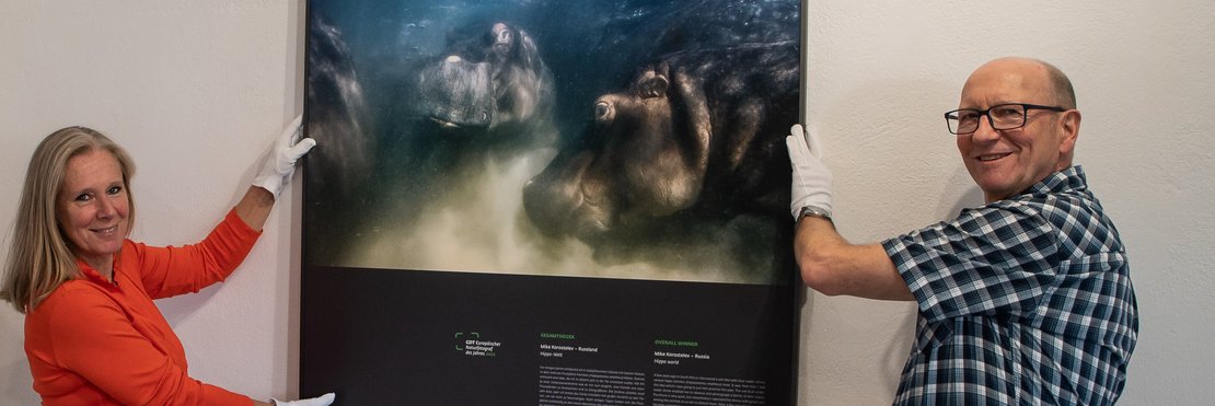Dr. Kathrin Wappenschmidt und Christoph Esser stellen die Ausstellung mit Naturfotografien vor. Sie präsentieren das Siegerfoto von Mike Korostelev, das Flusspferde zeigt.