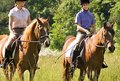 Zwie Personen reiten auf Pferden über eine Wiese