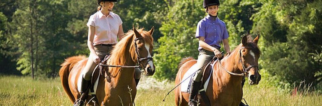 Zwie Personen reiten auf Pferden über eine Wiese