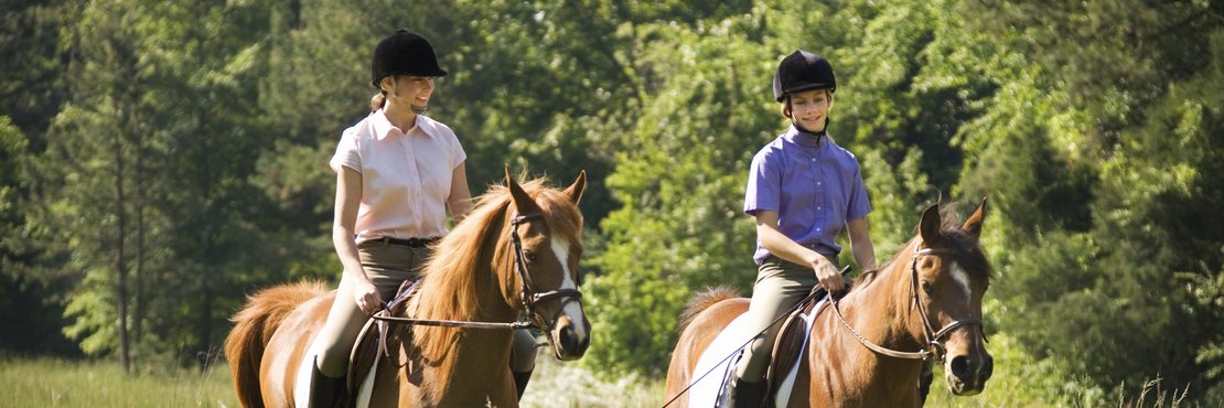 Zwei Personen auf Pferden reiten über eine Wiese