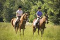 Zwei Personen auf Pferden reiten über eine Wiese