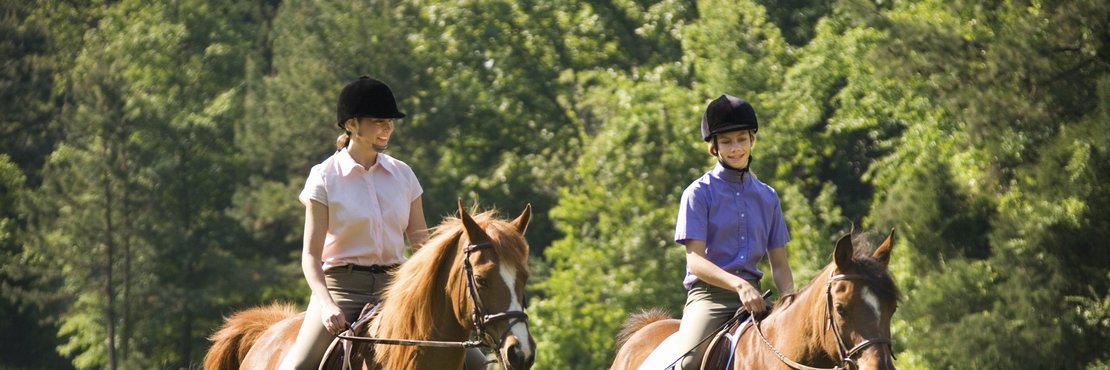 Zwei Personen auf Pferden reiten über eine Wiese