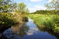 Flusslauf durch Wald und Wiesen