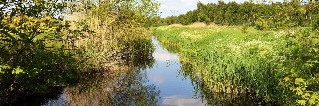 Flusslauf durch Wald und Wiesen